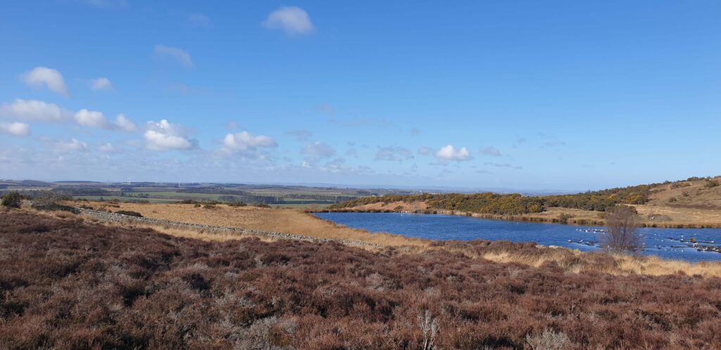 View over Holburn Moss, a SSSI site. 